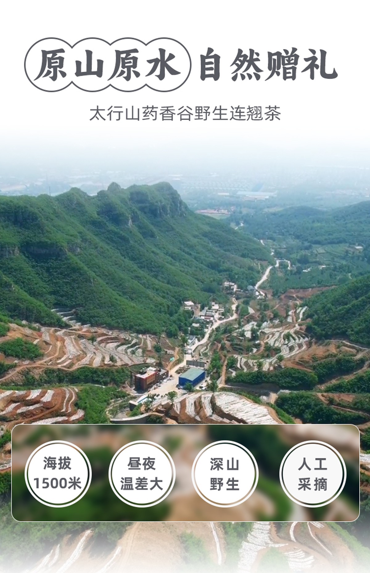 圖片關鍵詞