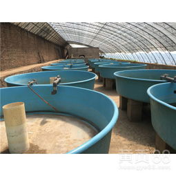 鴻碩玻璃鋼養殖孵化池 高效漁業孵化的現代化解決方案